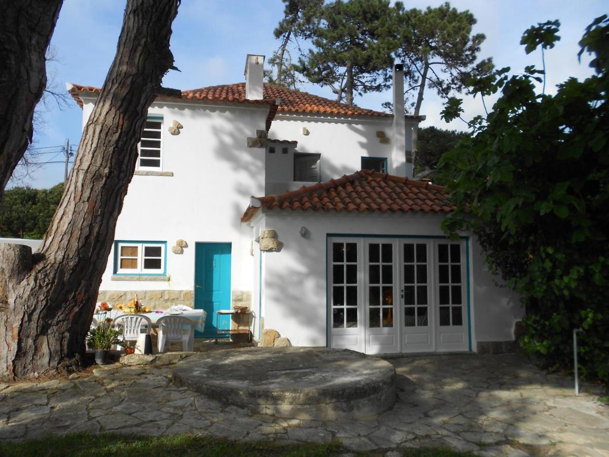 فيلا Casa Turquesa سينترا المظهر الخارجي الصورة