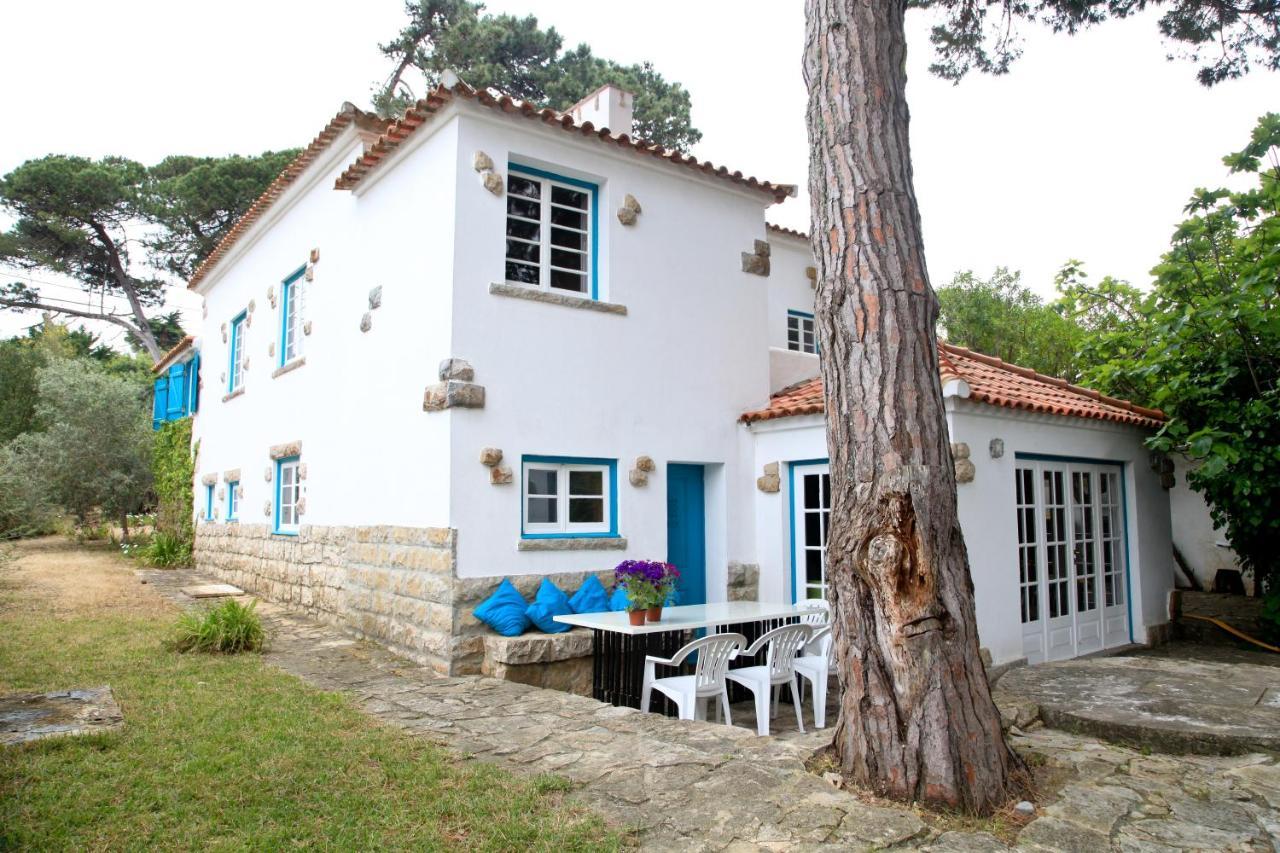 فيلا Casa Turquesa سينترا المظهر الخارجي الصورة